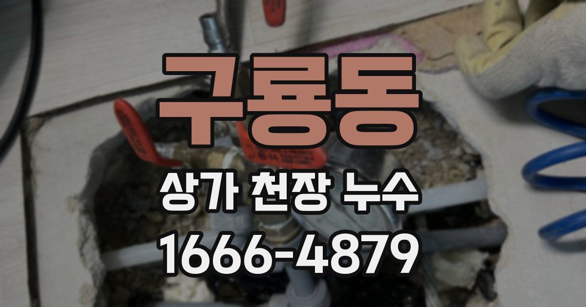 구룡동 상가 천장 누수