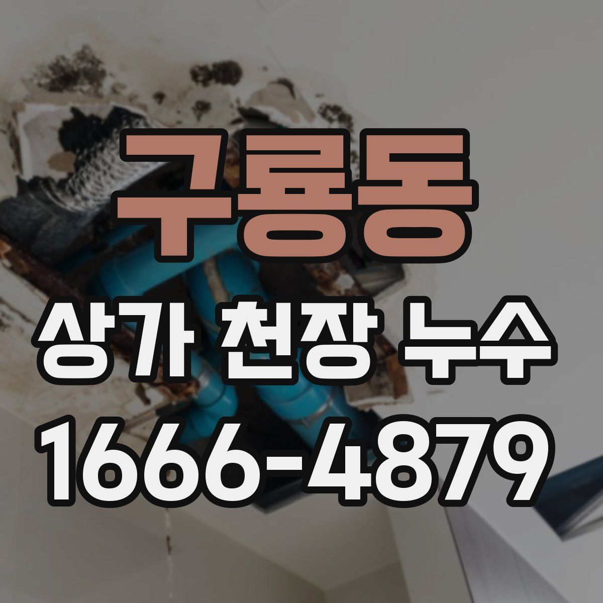 구룡동 상가 천장 누수