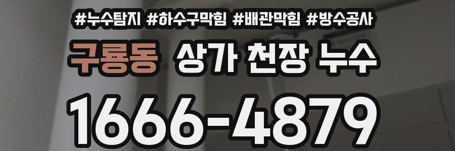 구룡동 상가 천장 누수