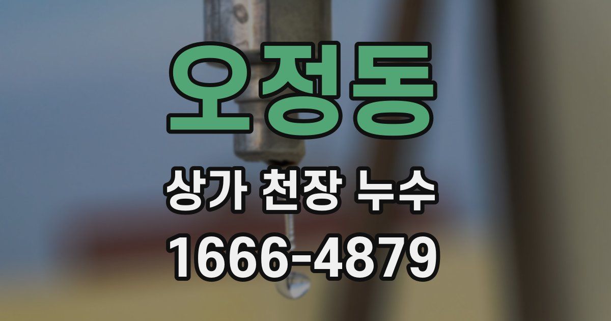 오정동 상가 천장 누수
