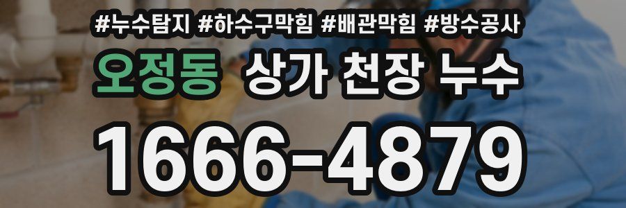 오정동 상가 천장 누수