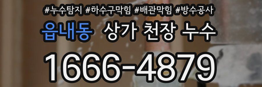 읍내동 상가 천장 누수