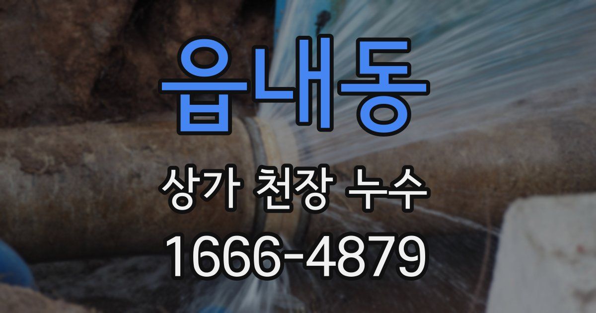 읍내동 상가 천장 누수