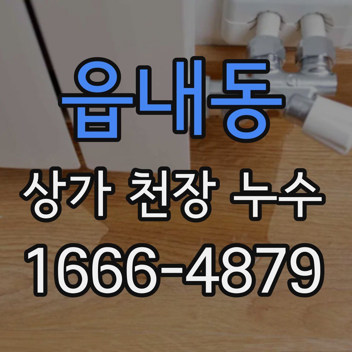 읍내동 상가 천장 누수