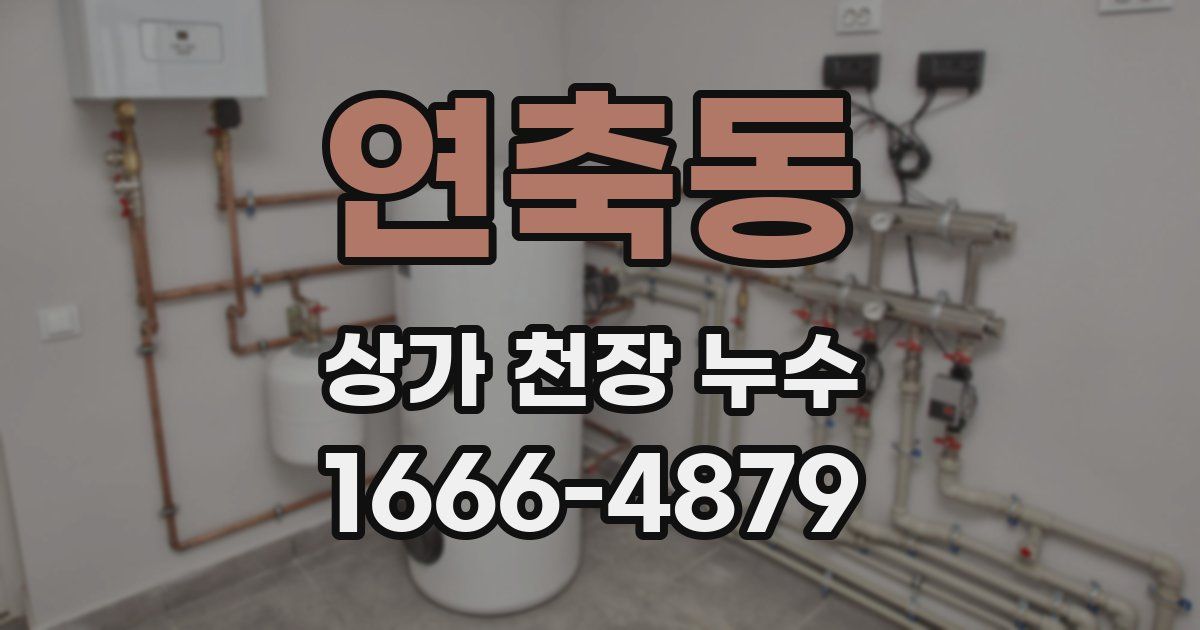 연축동 상가 천장 누수