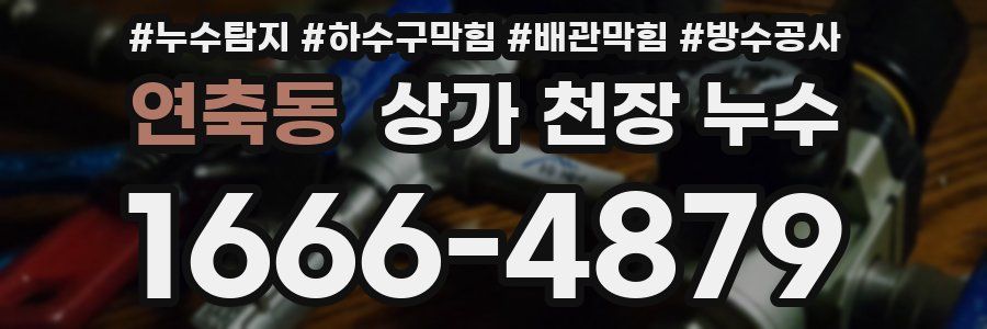 연축동 상가 천장 누수