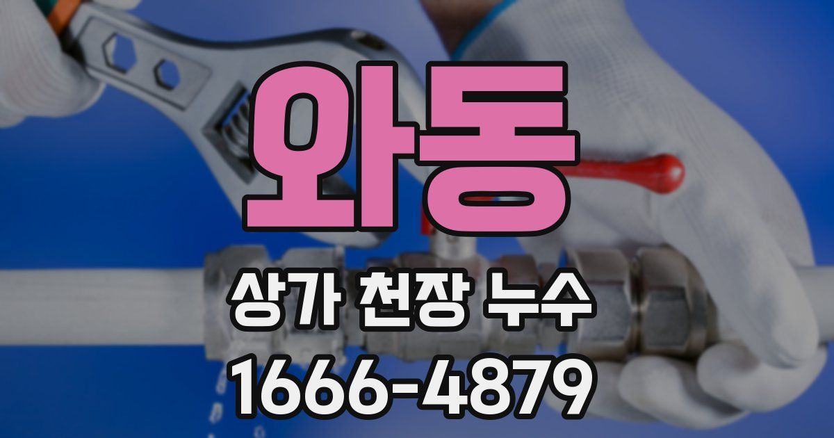 와동 상가 천장 누수