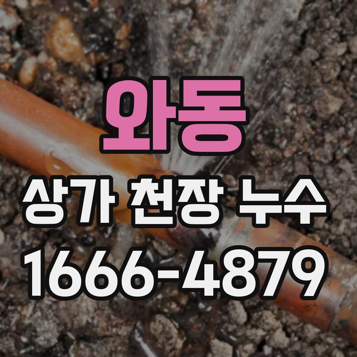 와동 상가 천장 누수