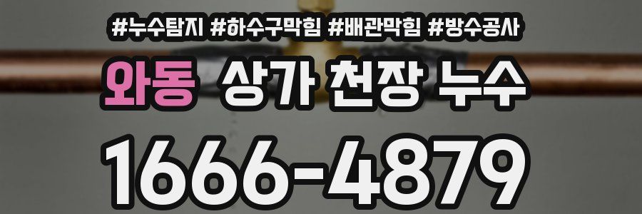 와동 상가 천장 누수
