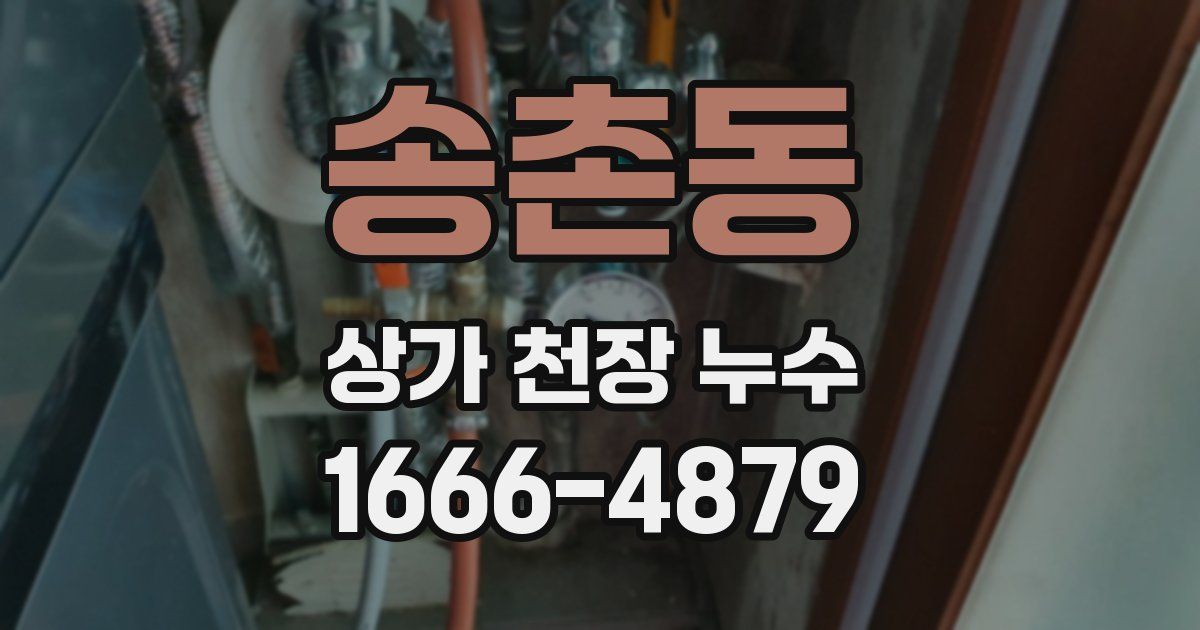 송촌동 상가 천장 누수