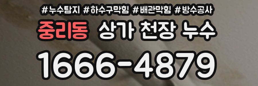 중리동 상가 천장 누수