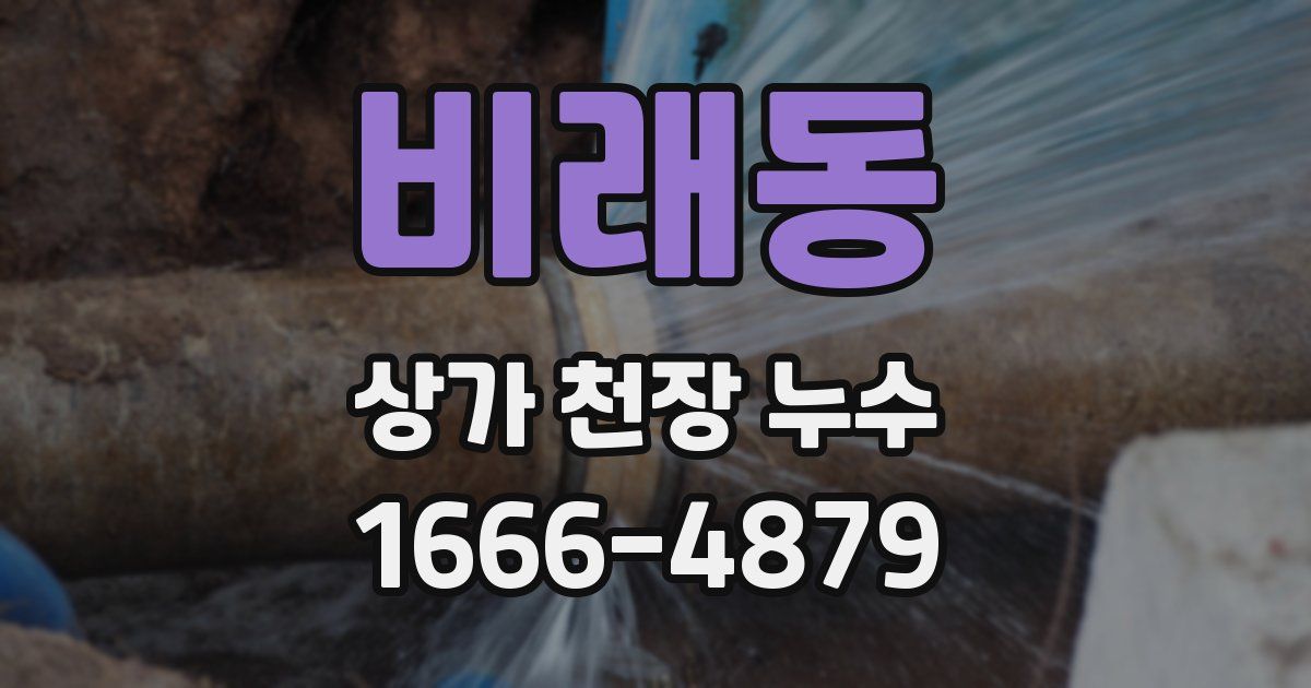 비래동 상가 천장 누수