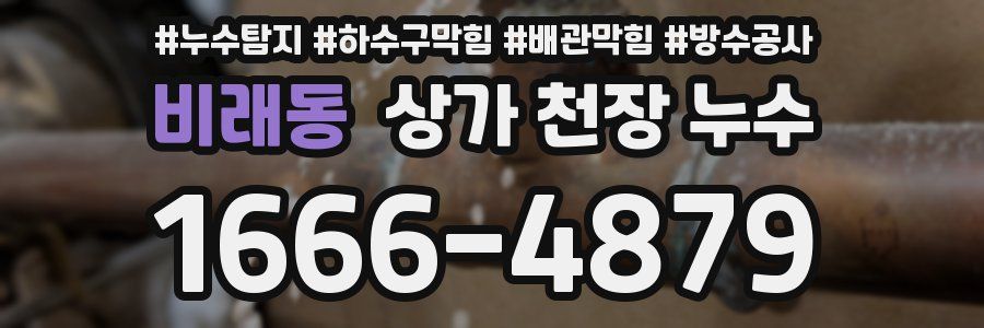 비래동 상가 천장 누수