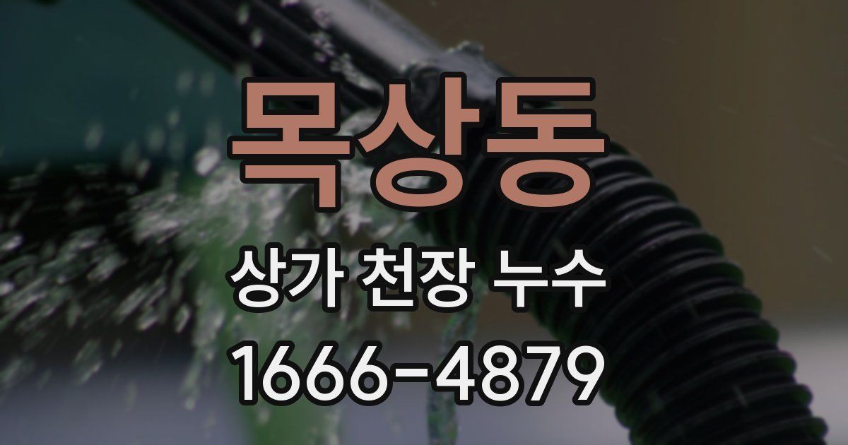 목상동 상가 천장 누수