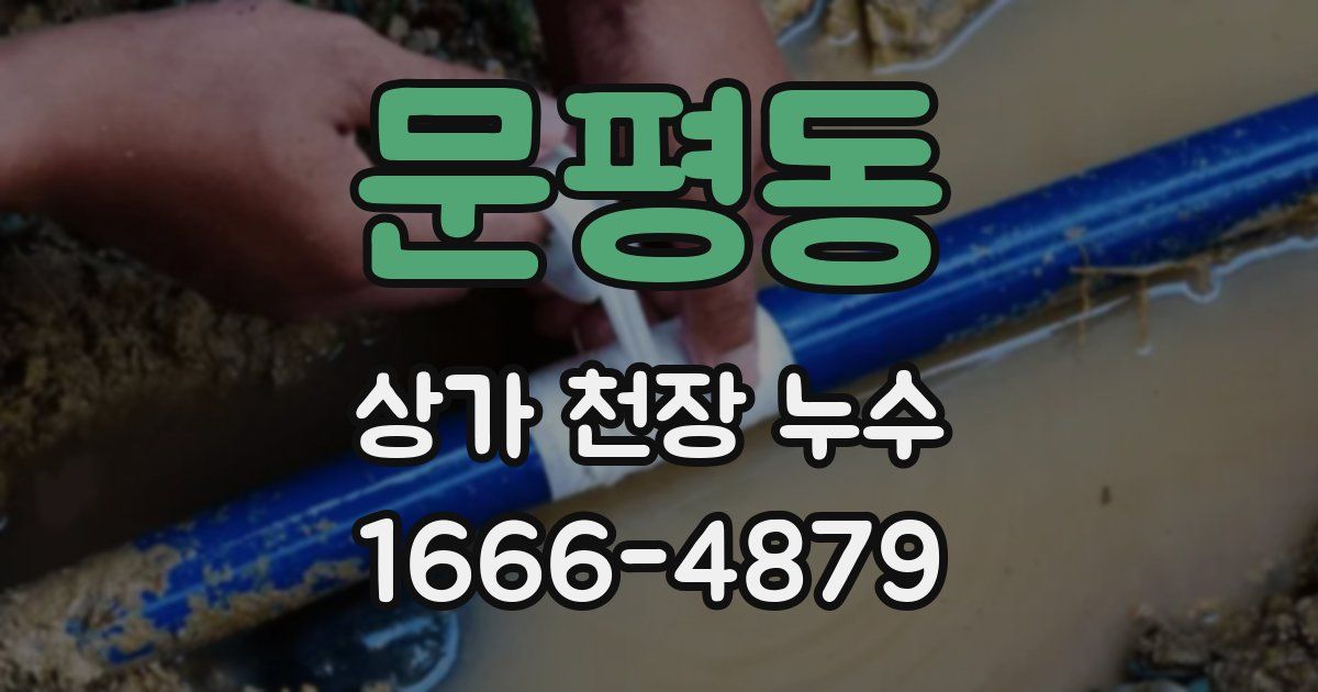 문평동 상가 천장 누수