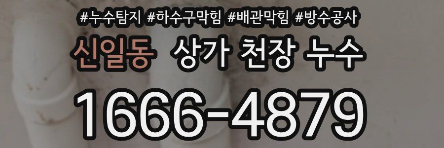 신일동 상가 천장 누수