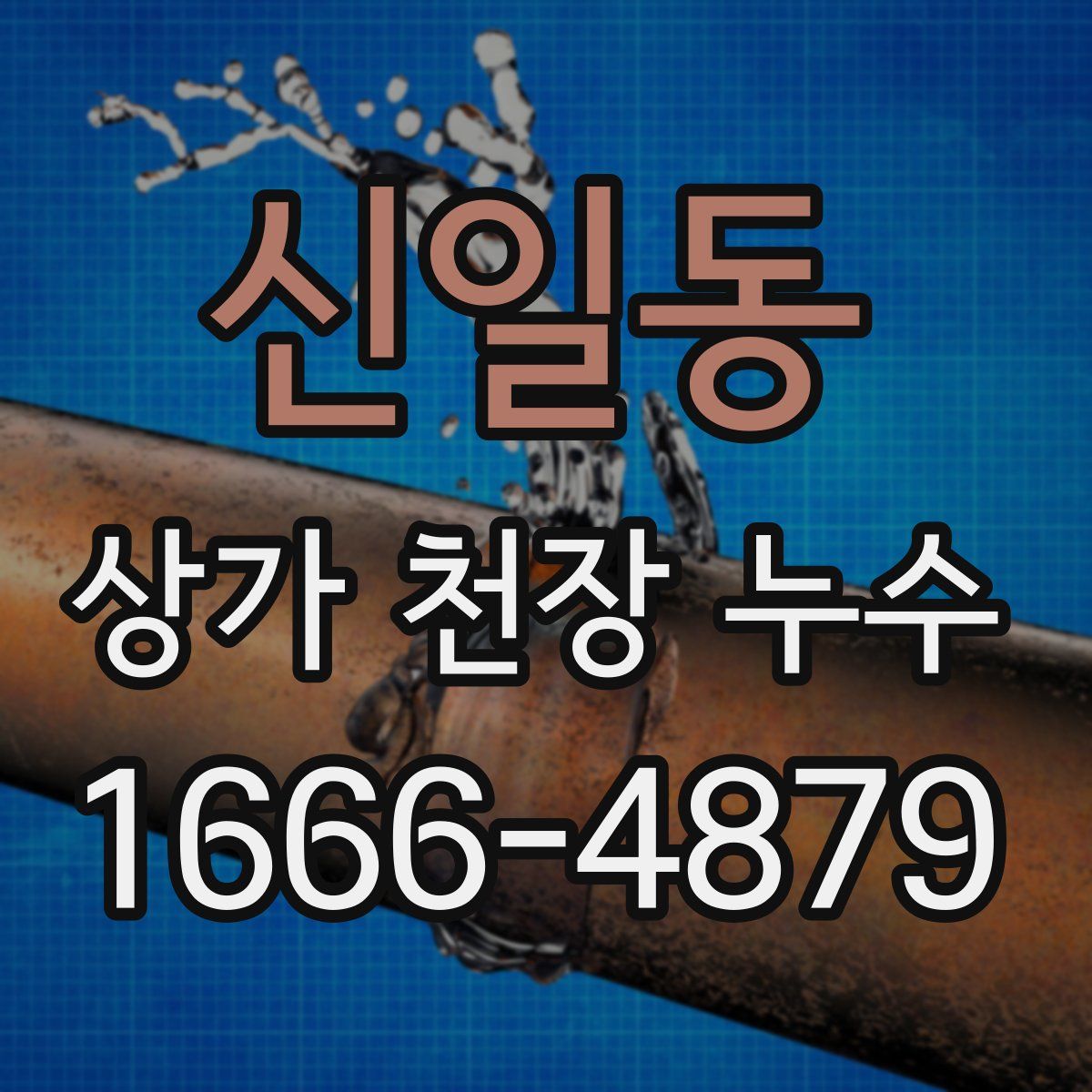 신일동 상가 천장 누수
