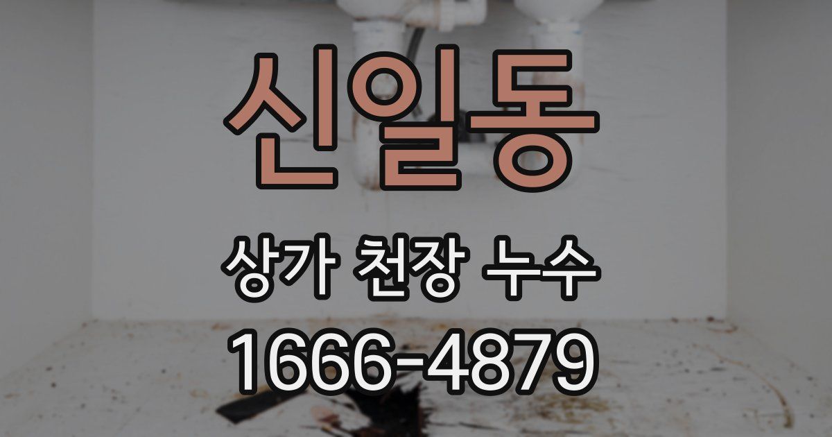 신일동 상가 천장 누수