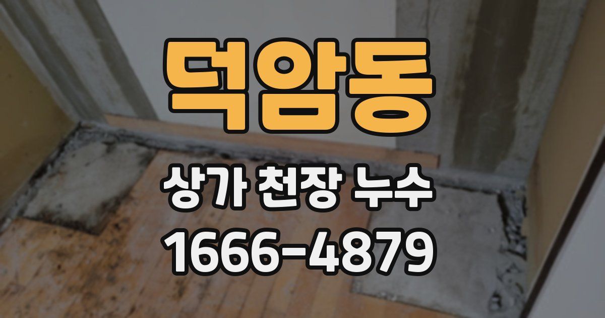 덕암동 상가 천장 누수