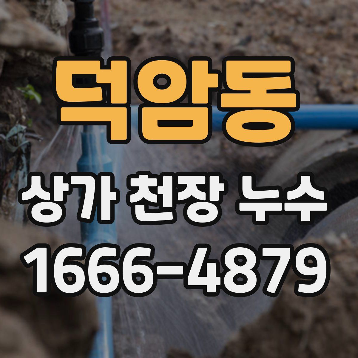 덕암동 상가 천장 누수