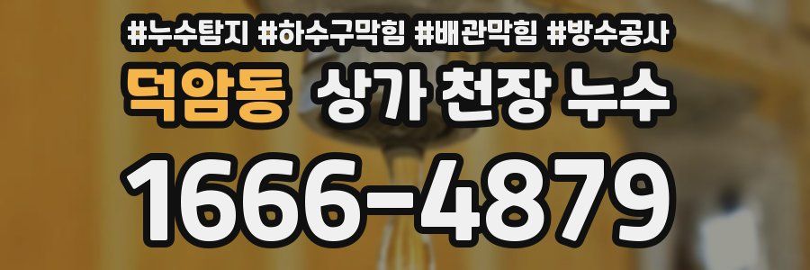 덕암동 상가 천장 누수