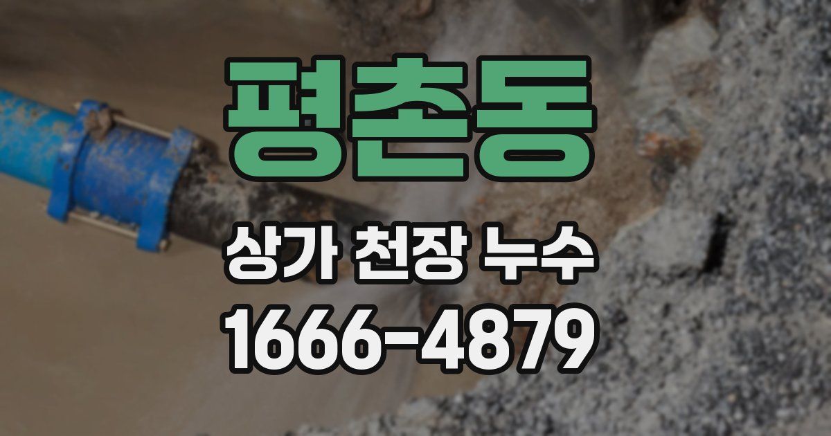 평촌동 상가 천장 누수