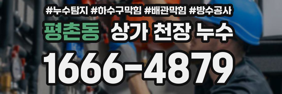 평촌동 상가 천장 누수