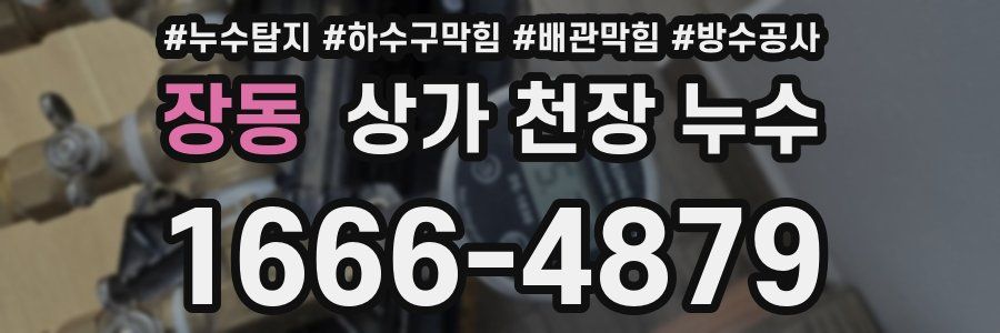 장동 상가 천장 누수