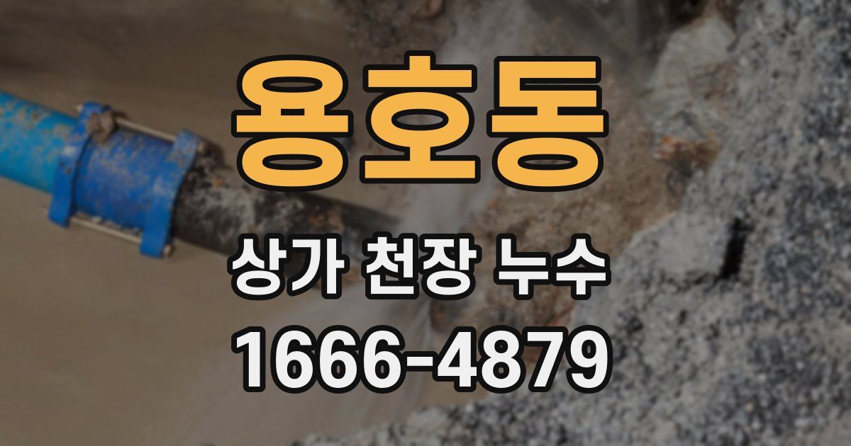 용호동 상가 천장 누수