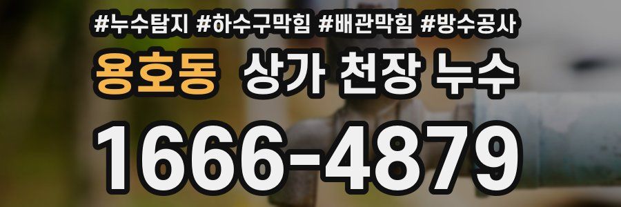 용호동 상가 천장 누수