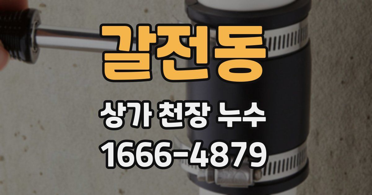 갈전동 상가 천장 누수