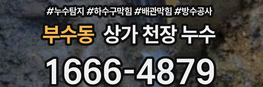 부수동 상가 천장 누수