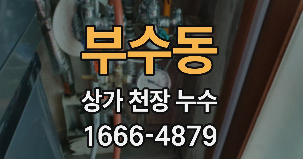 부수동 상가 천장 누수