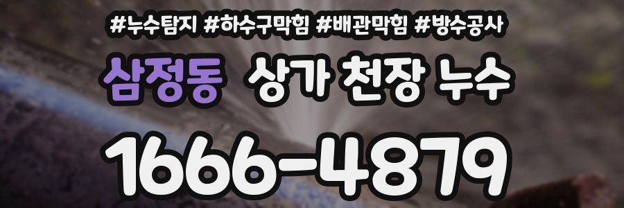 삼정동 상가 천장 누수