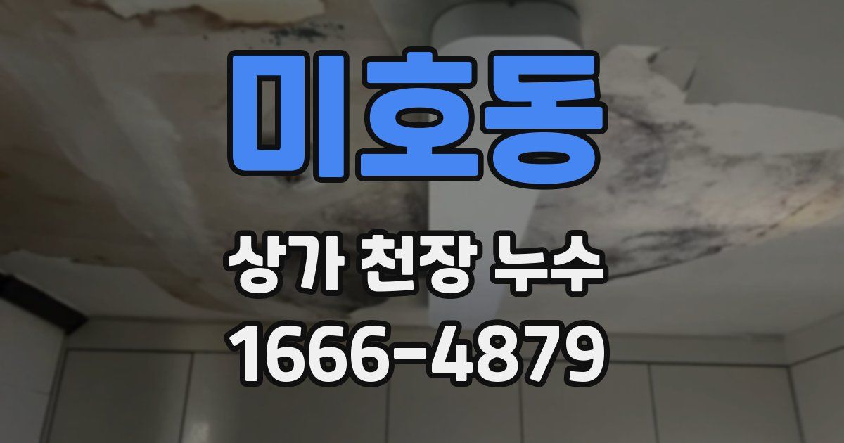 미호동 상가 천장 누수