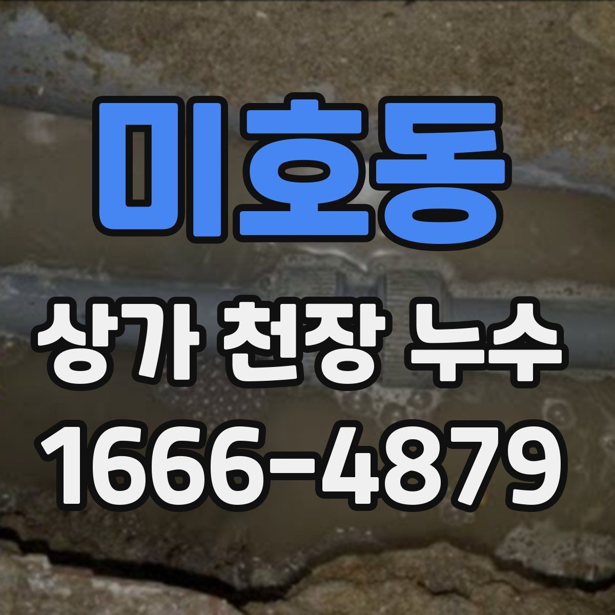미호동 상가 천장 누수