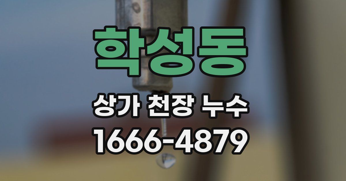 학성동 상가 천장 누수