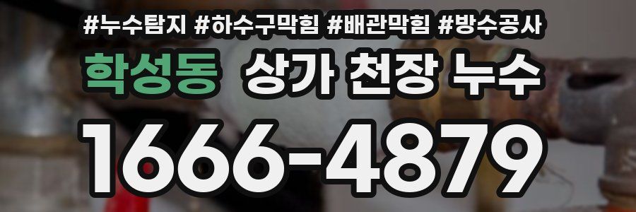 학성동 상가 천장 누수