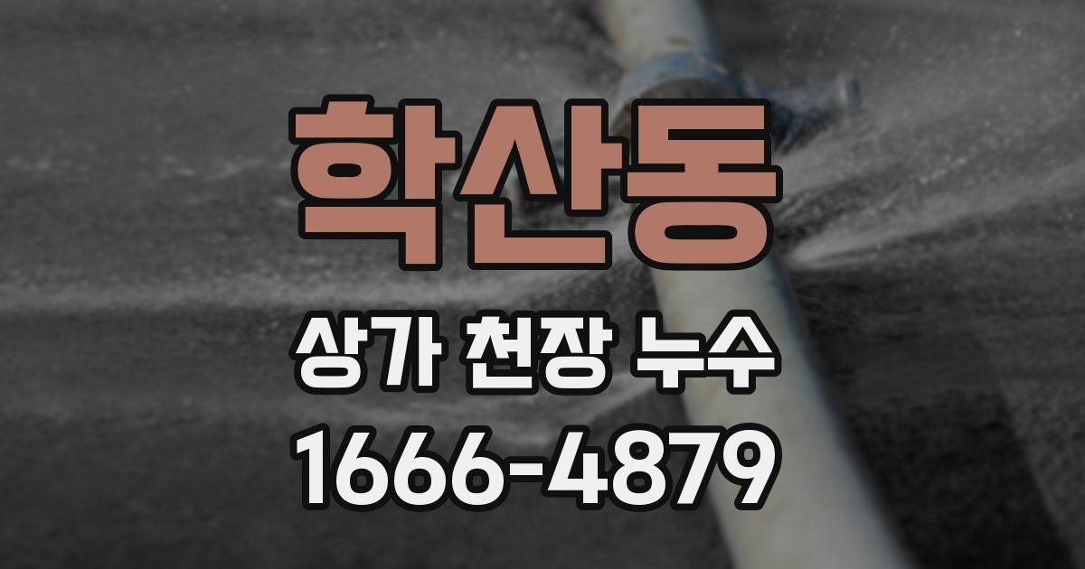 학산동 상가 천장 누수