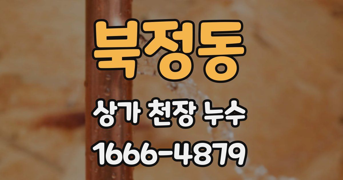 북정동 상가 천장 누수