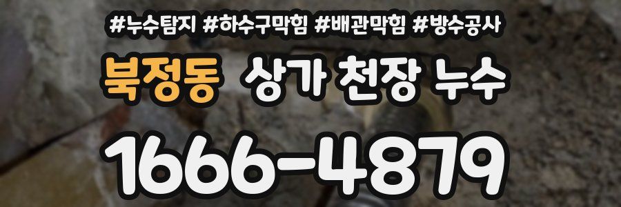 북정동 상가 천장 누수