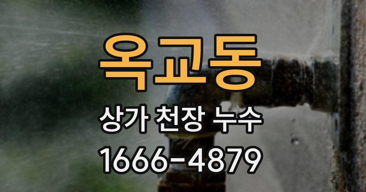 옥교동 상가 천장 누수