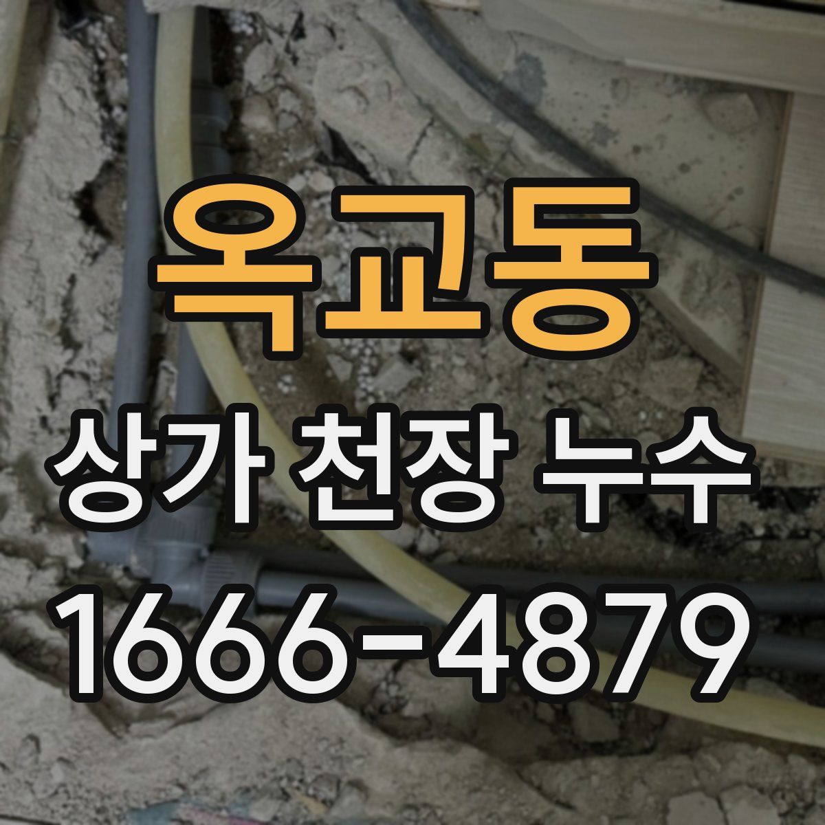 옥교동 상가 천장 누수