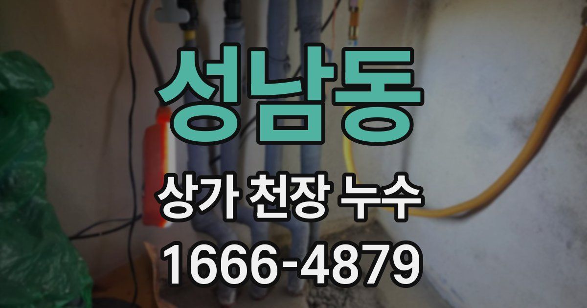 성남동 상가 천장 누수