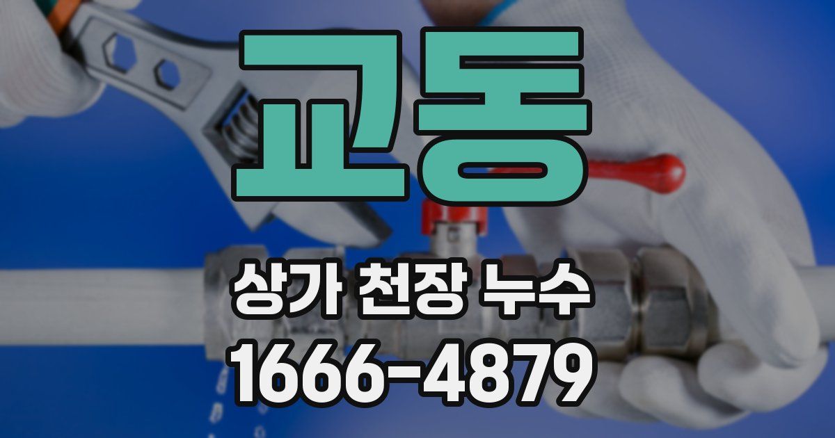 교동 상가 천장 누수
