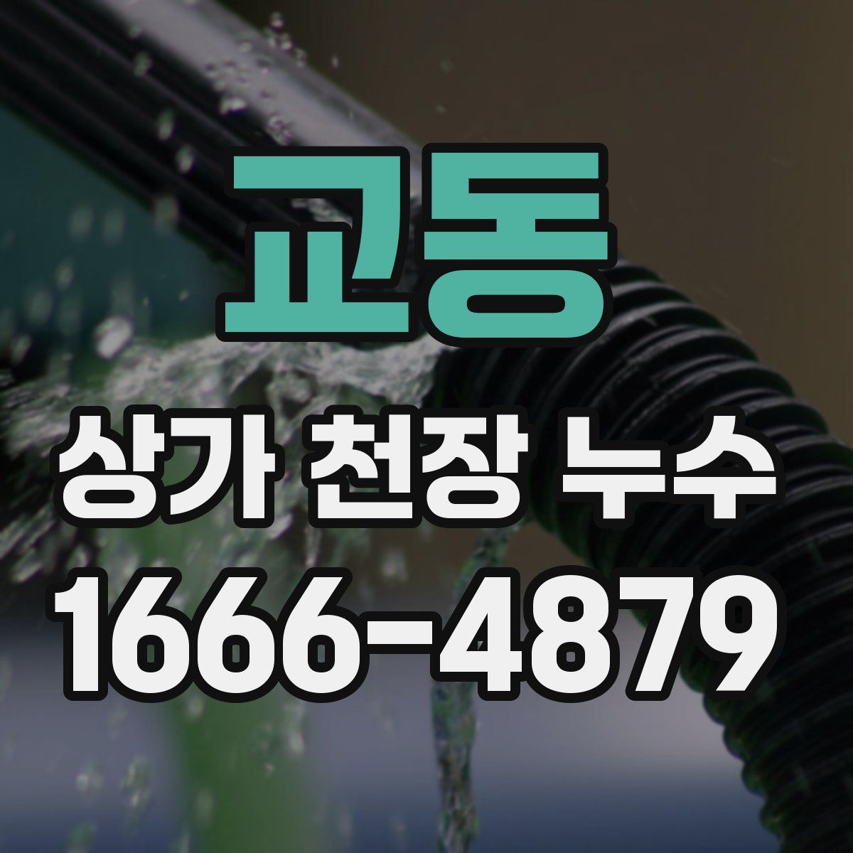 교동 상가 천장 누수