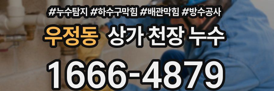 우정동 상가 천장 누수