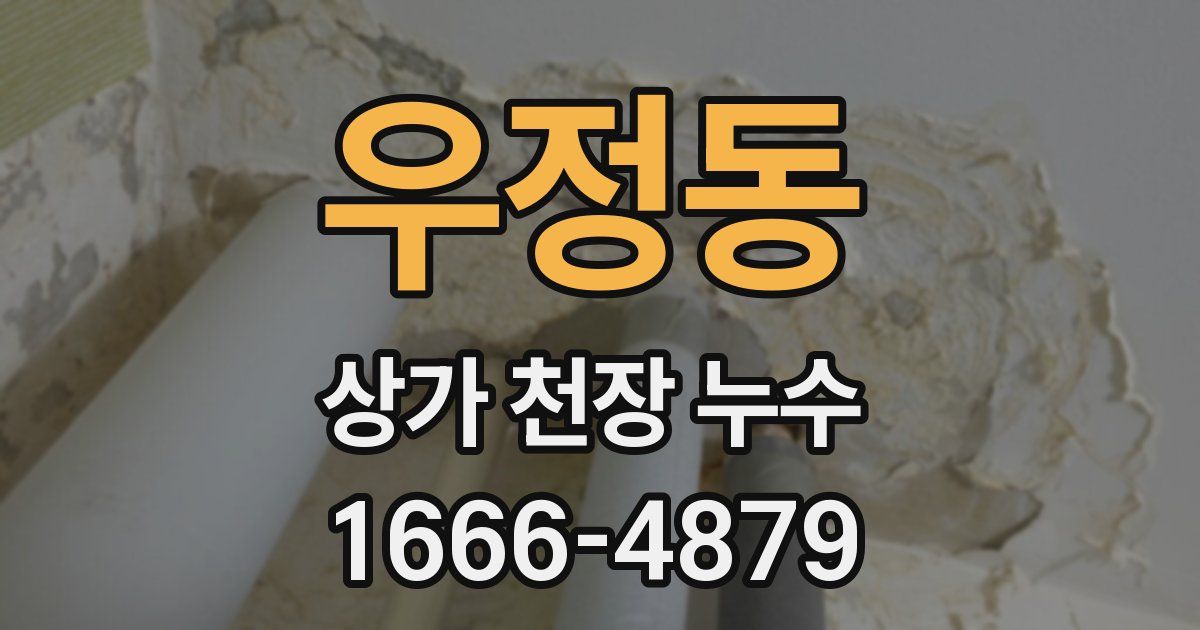 우정동 상가 천장 누수