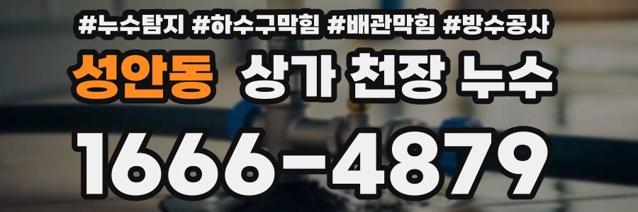 성안동 상가 천장 누수