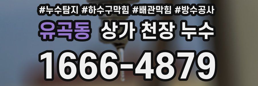 유곡동 상가 천장 누수